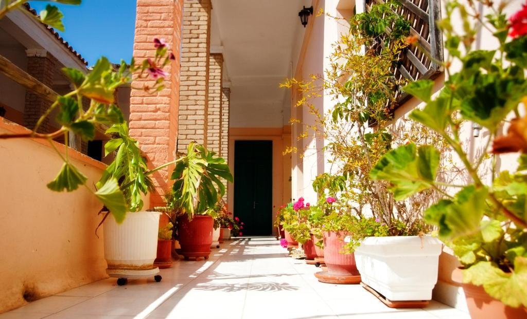Tínos Avra Hotel מראה חיצוני תמונה
